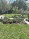 Commercial Landscape Projects by Coastal Landscaping and Design