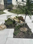 Commercial Landscape Projects by Coastal Landscaping and Design