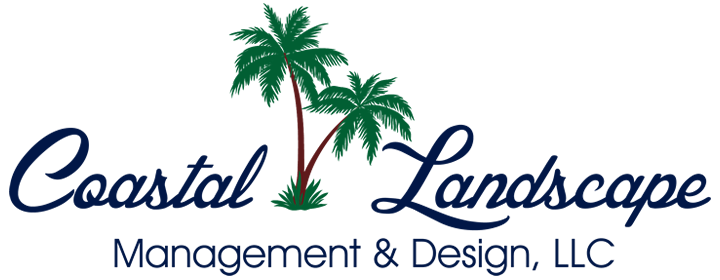 Commercial Landscaper Victoria Texas : Landscape Management & Design